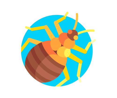 Punaises de lit, elles sont noires, font la taille d’un pépin de pomme et aiment nous piquer la nuit.