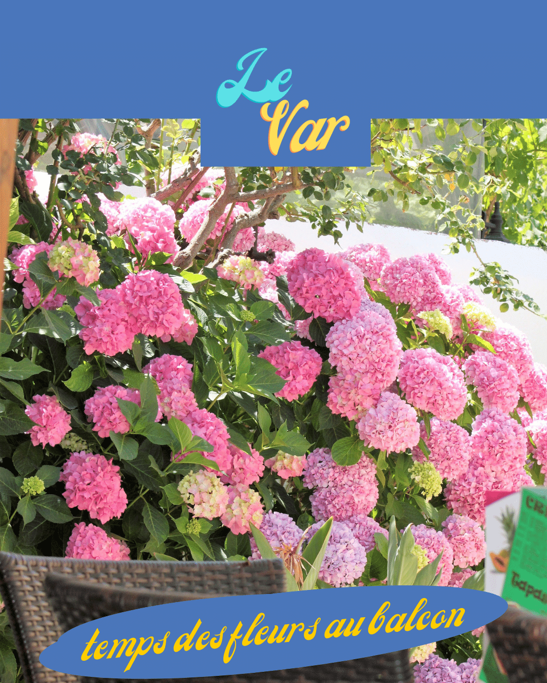 Balcons : avant toute chose, offrez un grand nettoyage de printemps à votre balcon : • Balayez, lavez, dépoussiérez chaque recoin. • Débarrassez-vous des objets superflus ou abîmés afin de repartir sur une base saine et épurée.