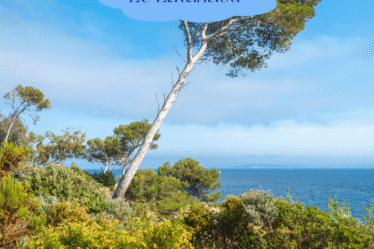 Le Var regorge de plages magnifiques, entre criques sauvages