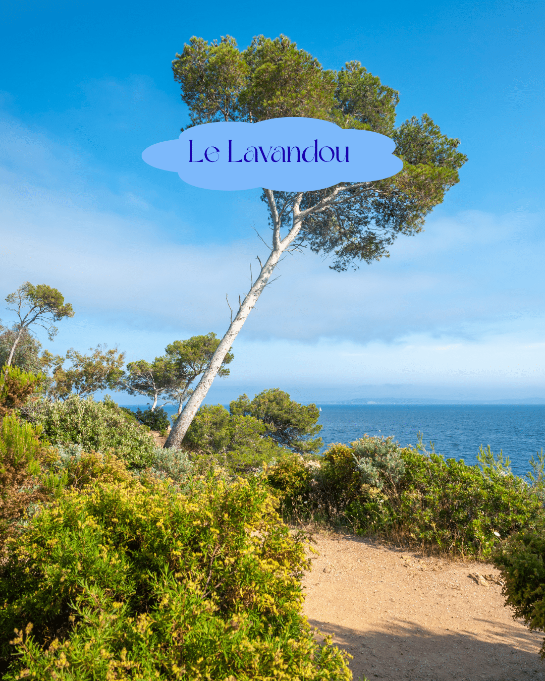 Le Var regorge de plages magnifiques, entre criques sauvages